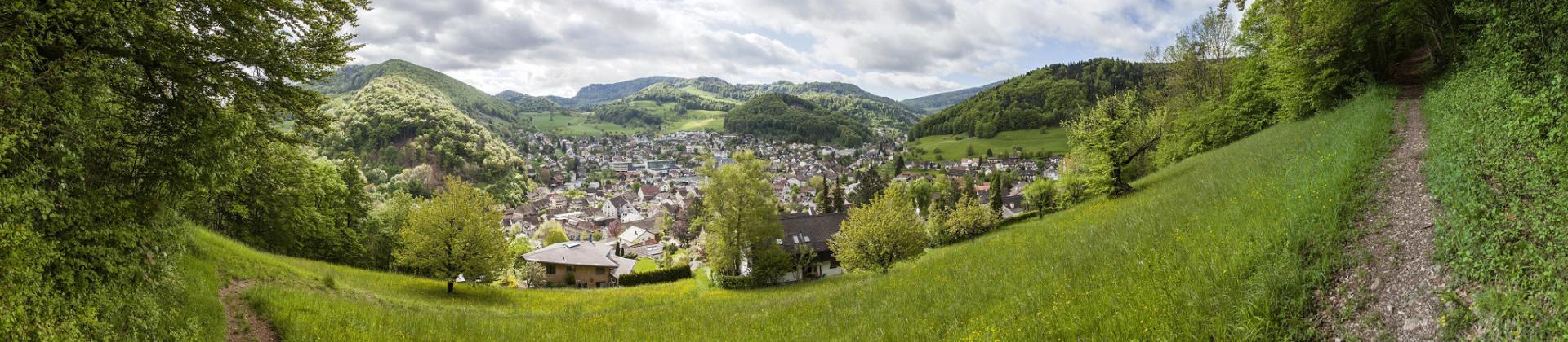 Frühling