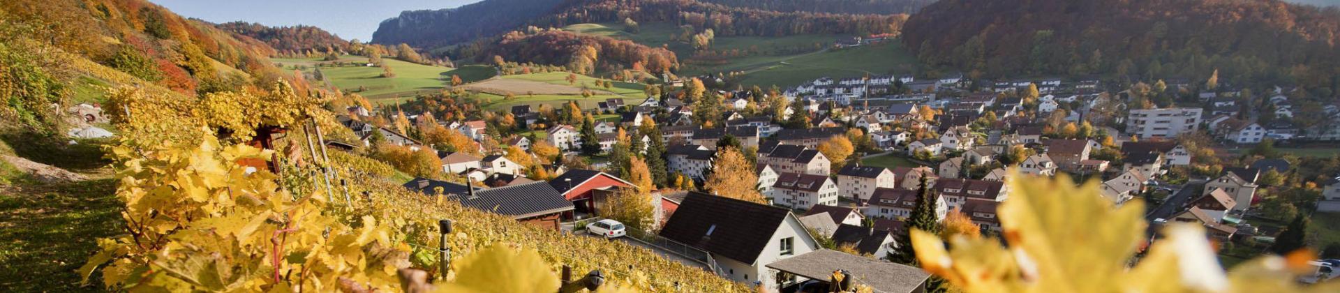Panoramabild Herbst Oberdorf BL