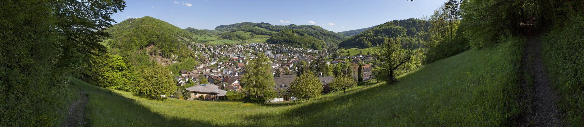 Panoramabild Sommer Oberdorf BL